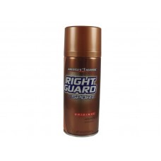 Right Guard Sport Original Spray